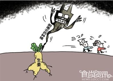 中纪委通报5起食品安全案例 生姜使用剧毒农药