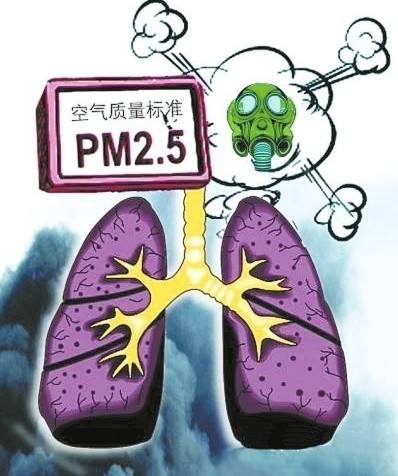 pm2.5确认为致癌物 吃什么应对？