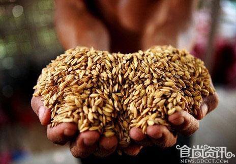 粮食安全上中央一号文件“头条”