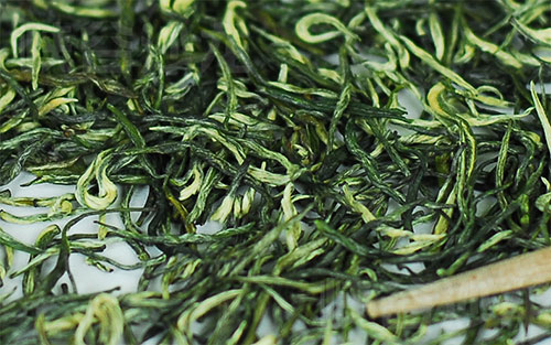 茶叶小知识:什么是蒸青绿茶